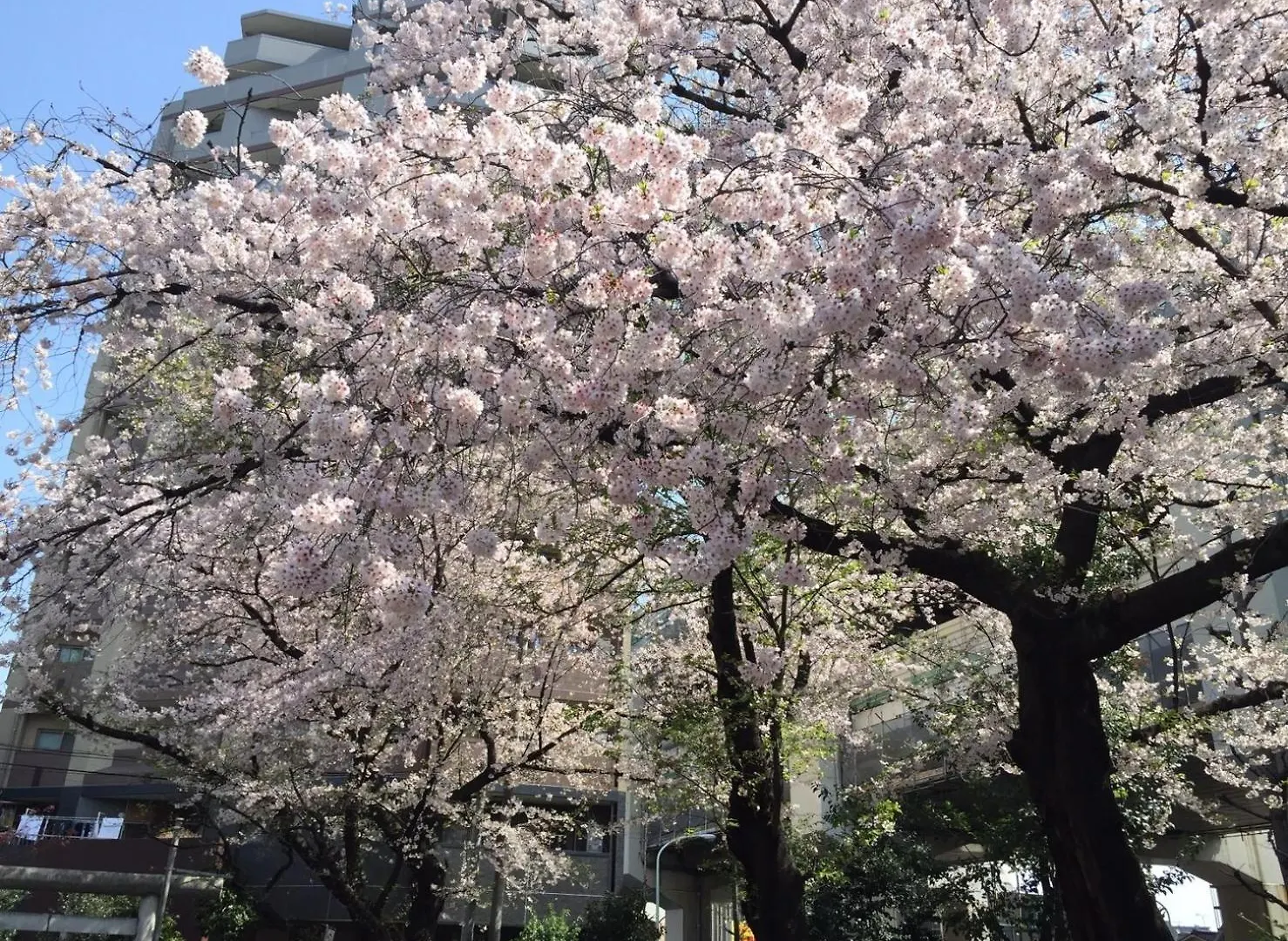 Shibuya-Ku - Apartment / Vacation Stay 6219 Tokyo