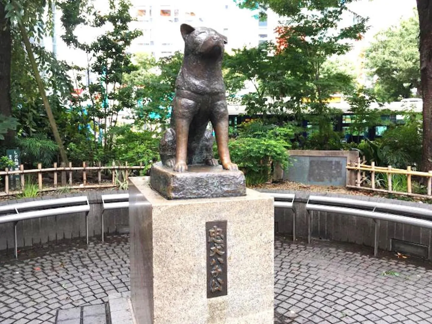 Shibuya-Ku - Apartment / Vacation Stay 6219 Tokyo