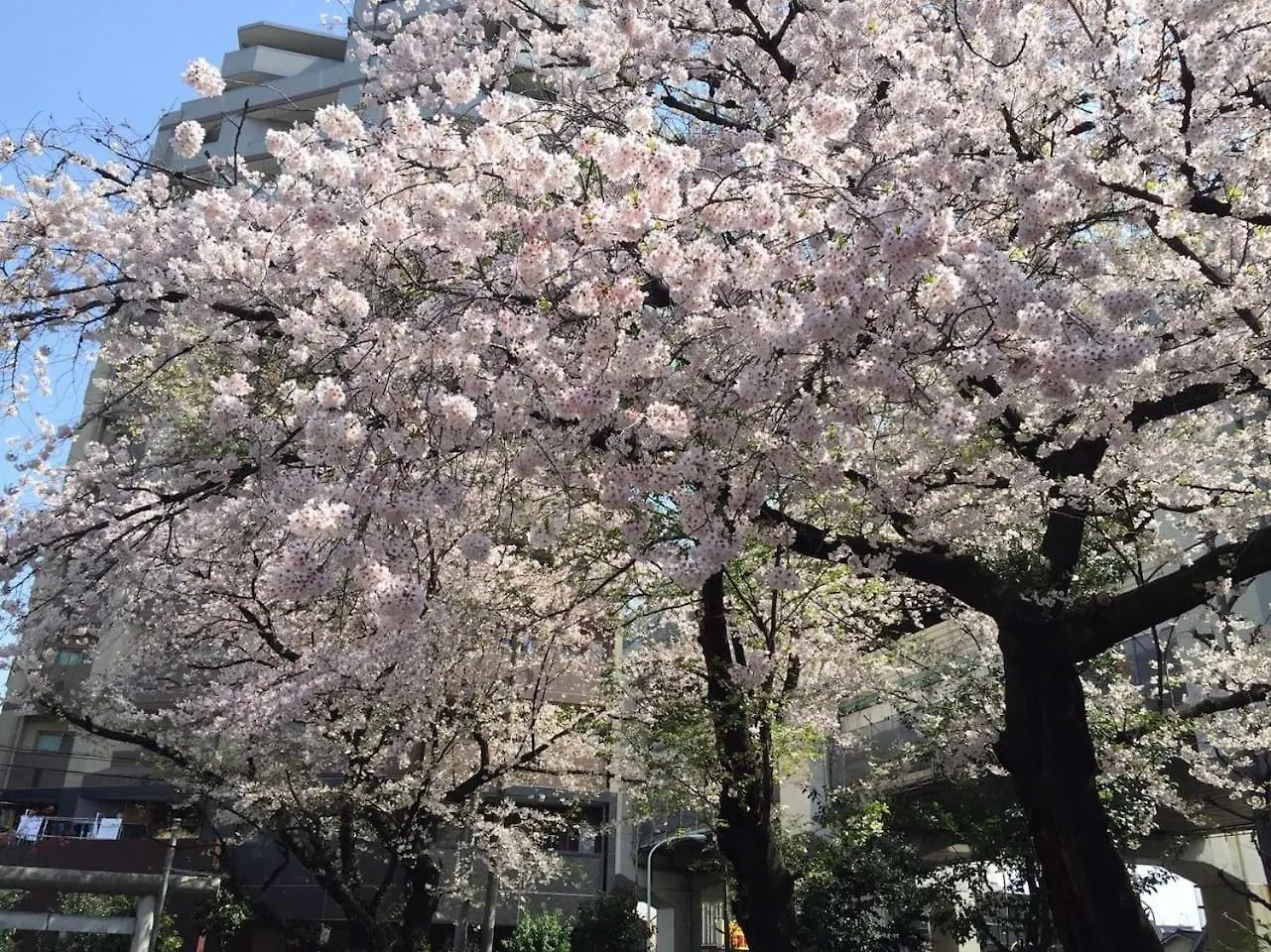 Shibuya-Ku - Apartment / Vacation Stay 6219 Tokyo